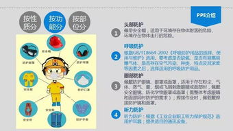 个人劳动防护用品使用培训 安全第一，防护先行